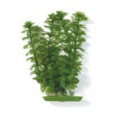 Амбулия 38см, растение пластиковое зеленое Marina® (под заказ от 1 до 4 недель)